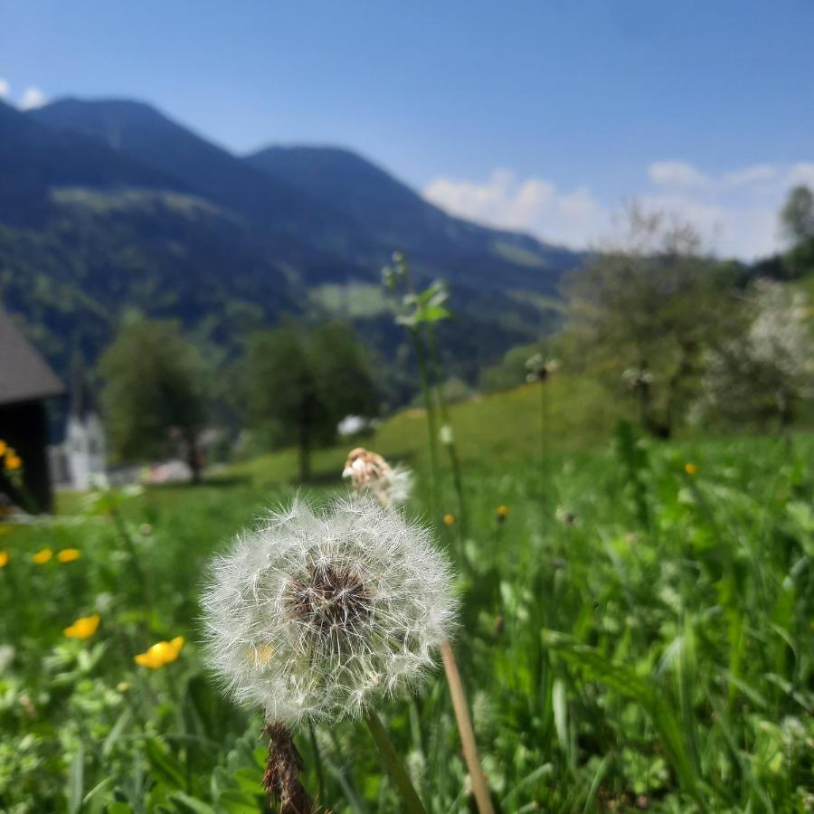 Sunnaschi Appartements - Wohnungen Oder Gesamt Als "Huette" Laterns Exterior foto