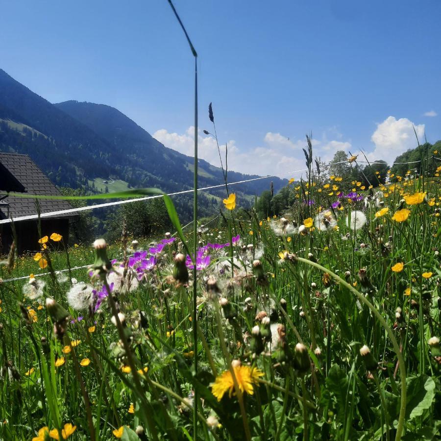 Sunnaschi Appartements - Wohnungen Oder Gesamt Als "Huette" Laterns Exterior foto