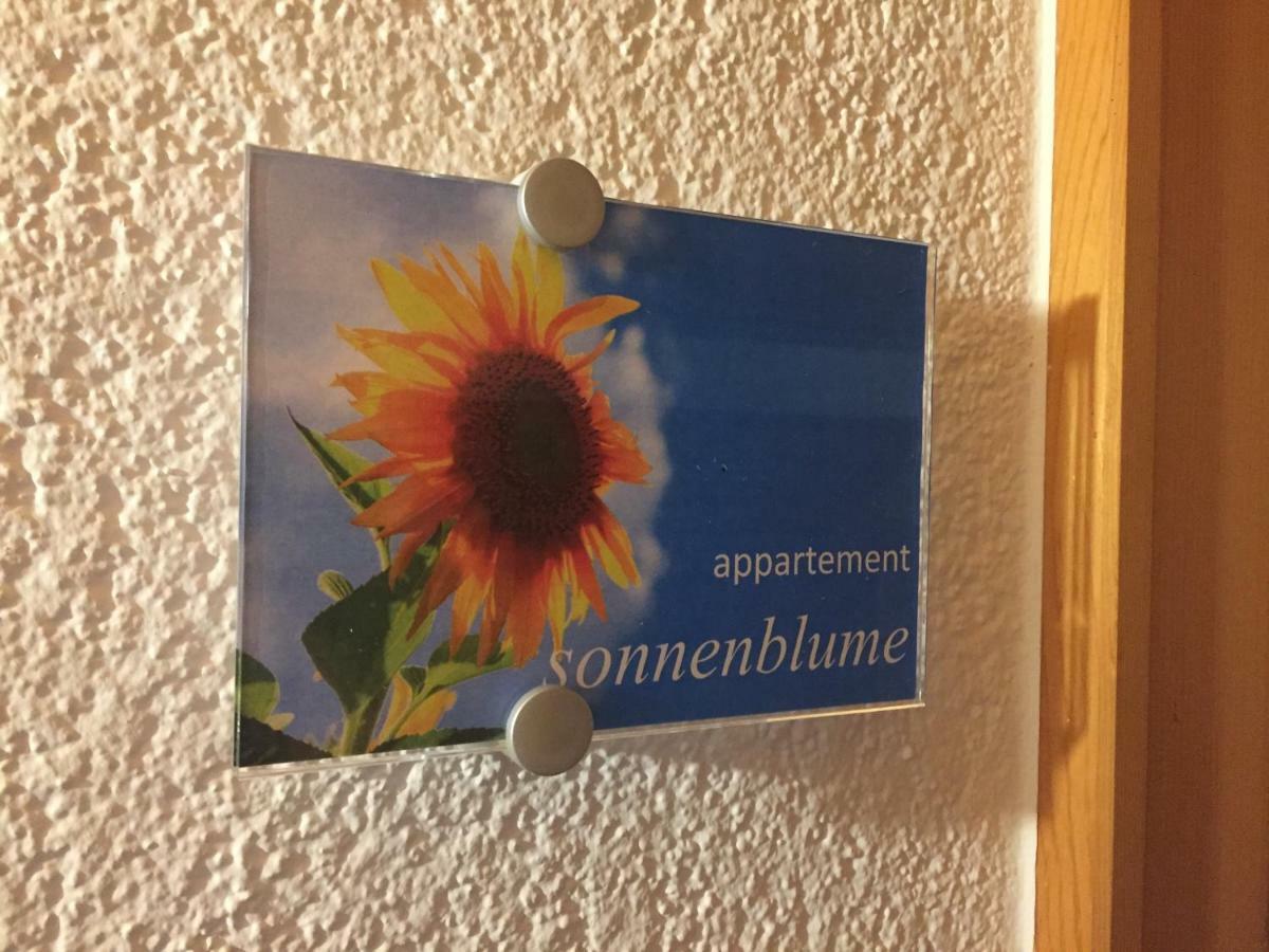 Sunnaschi Appartements - Wohnungen Oder Gesamt Als "Huette" Laterns Exterior foto